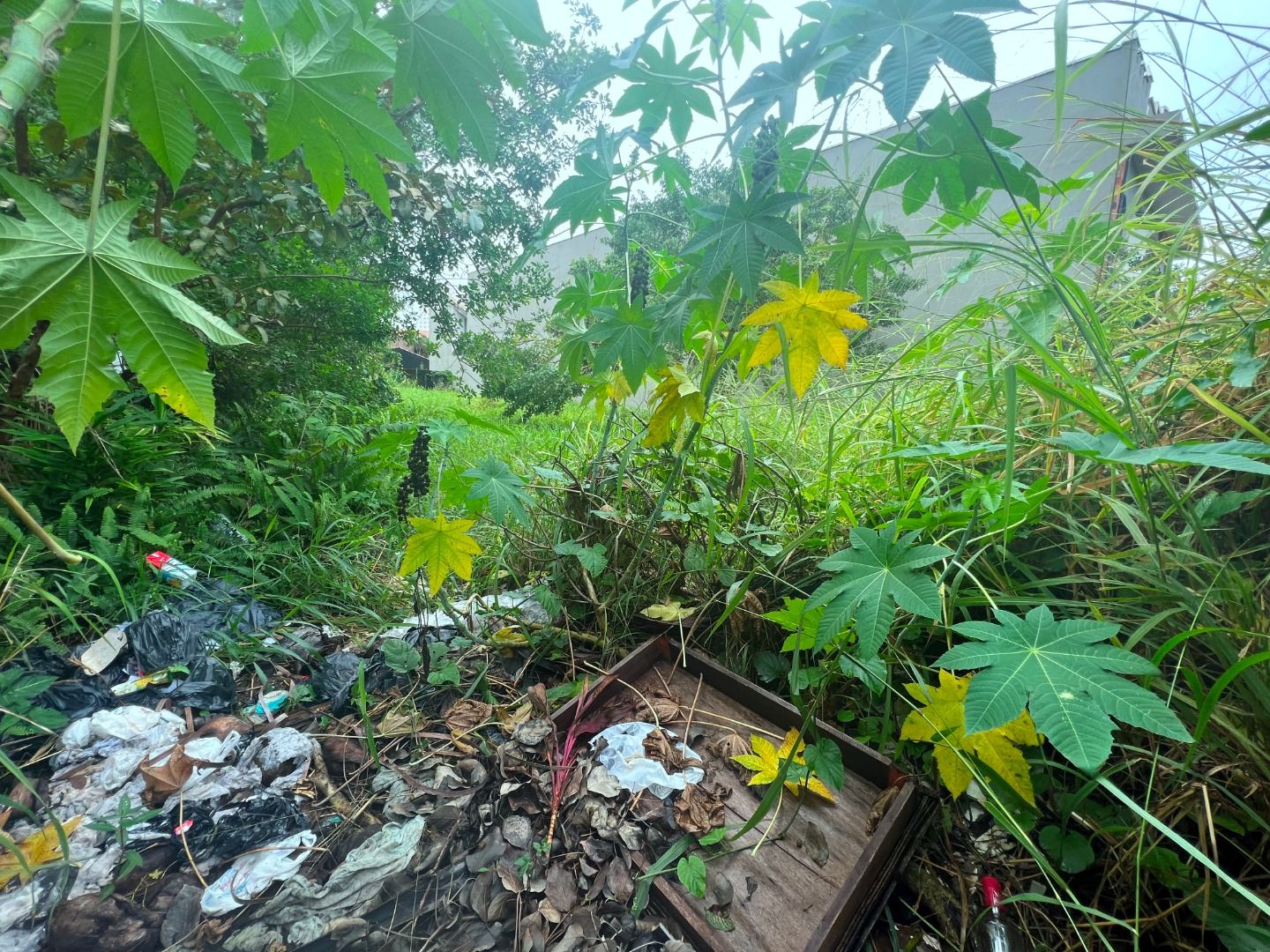 terreno TE0035 em Cidade Balneária Peruibe-Scipel