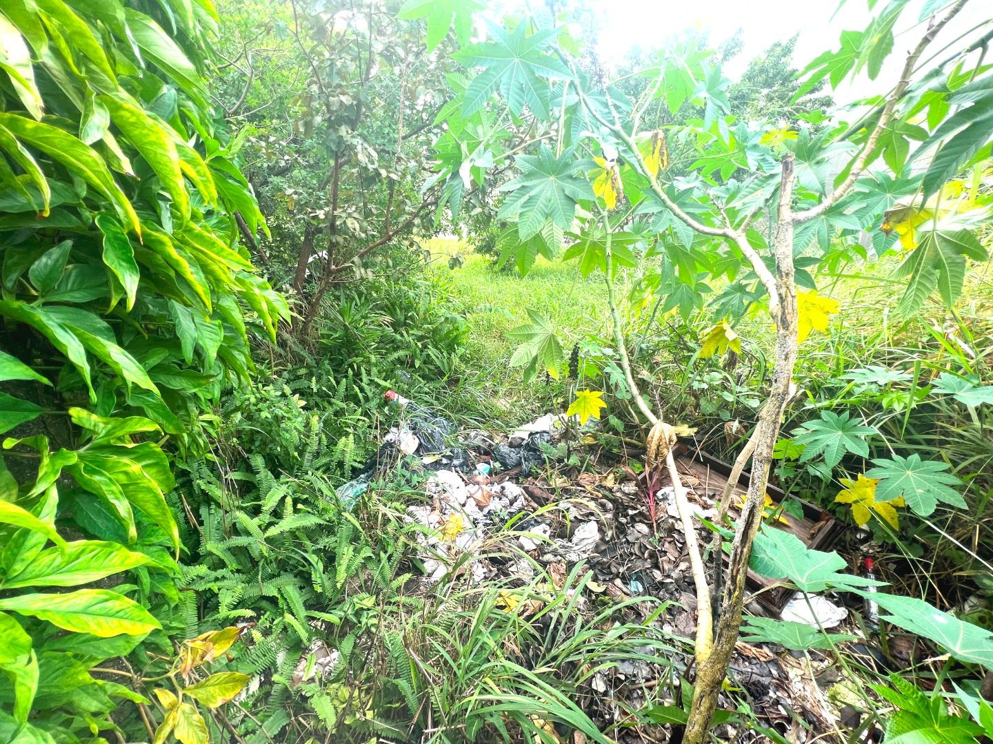terreno TE0035 em Cidade Balneária Peruibe-Scipel