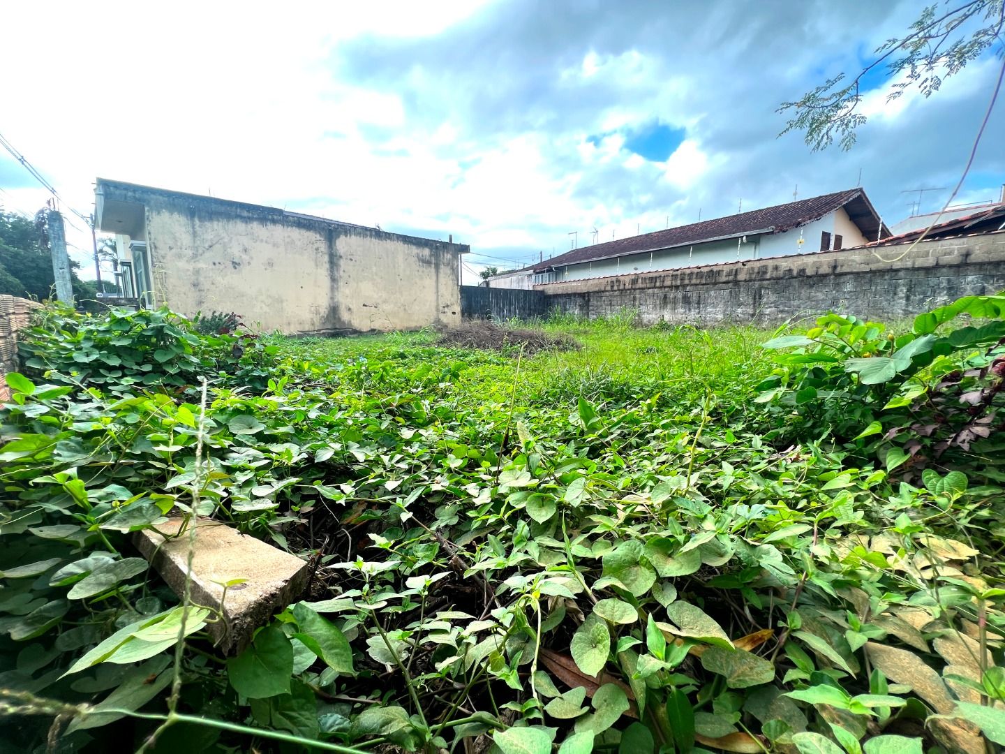 terreno TE0039
