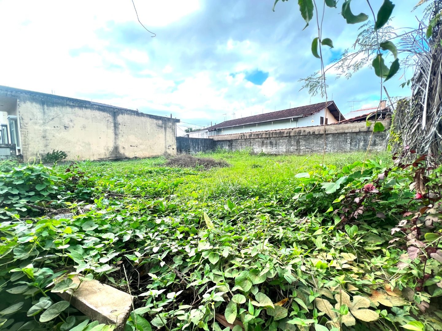 terreno TE0039