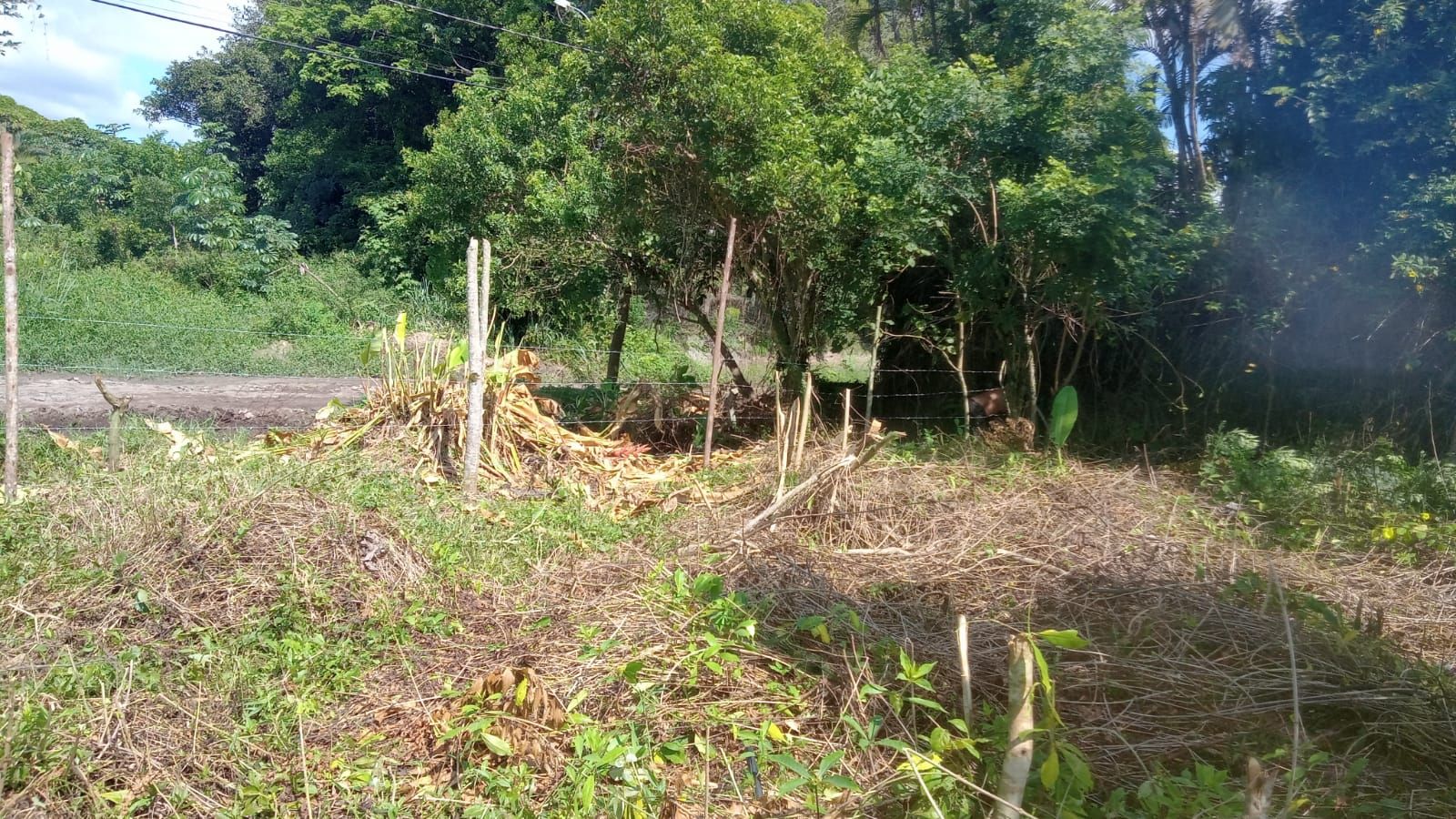 terreno TE0059 em Estância Antonio Novaes