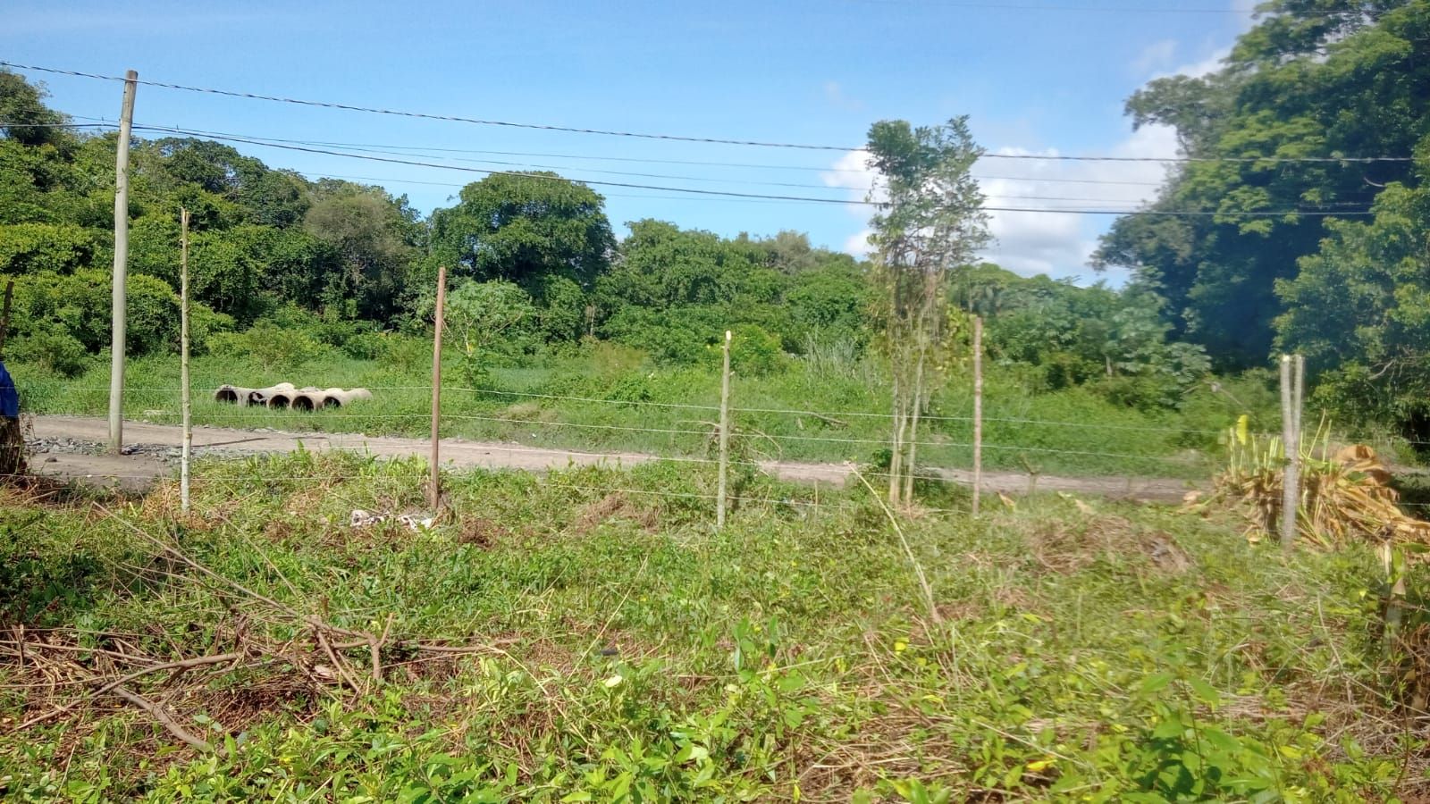 terreno TE0059