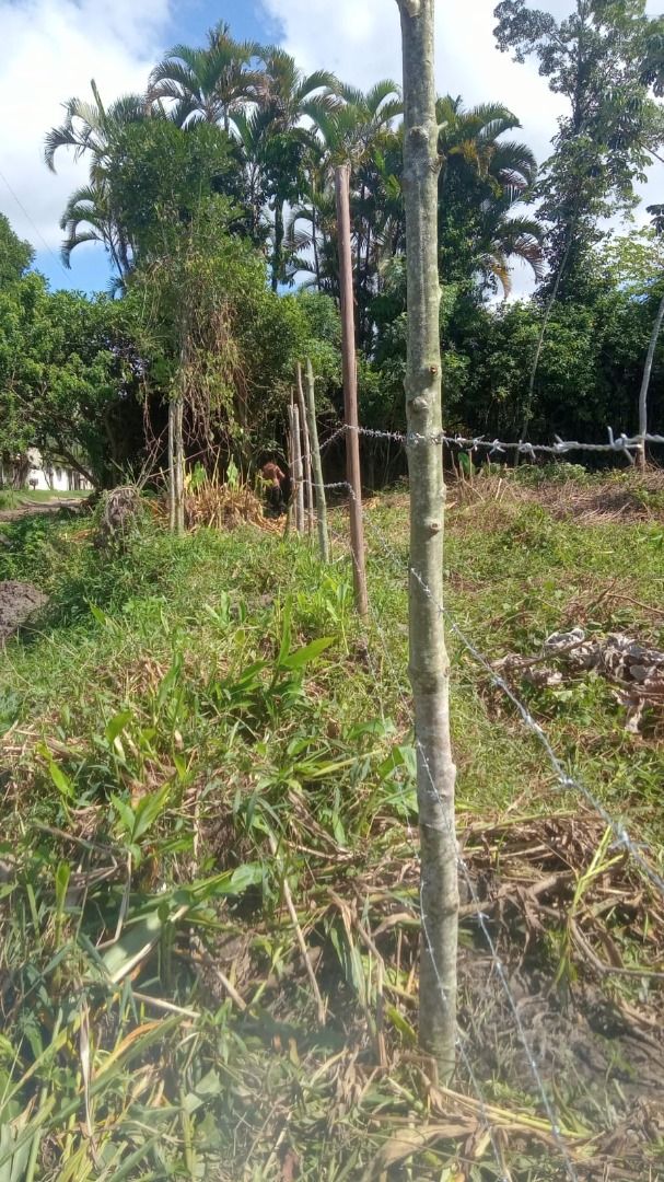 terreno TE0059