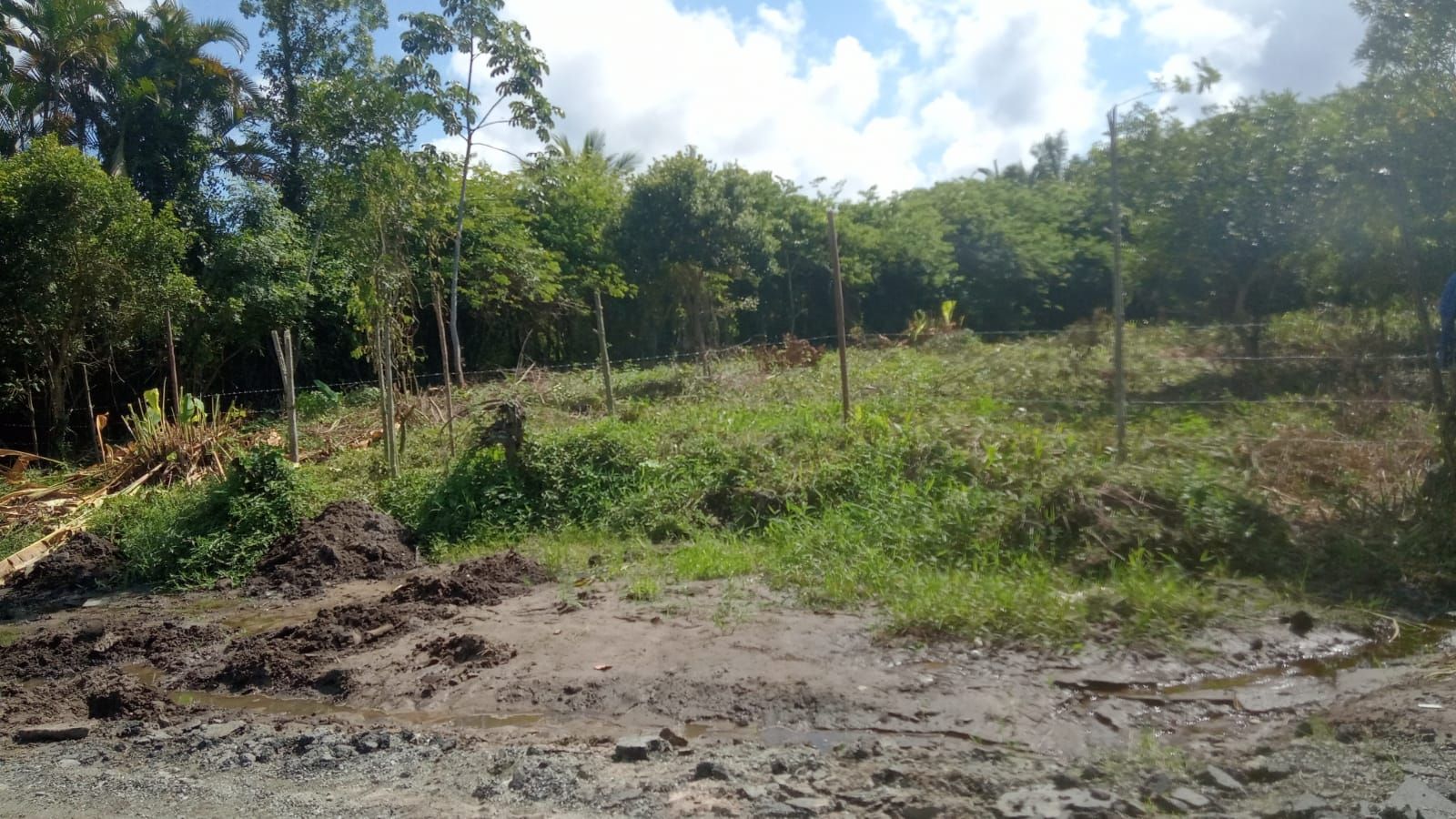 terreno TE0059