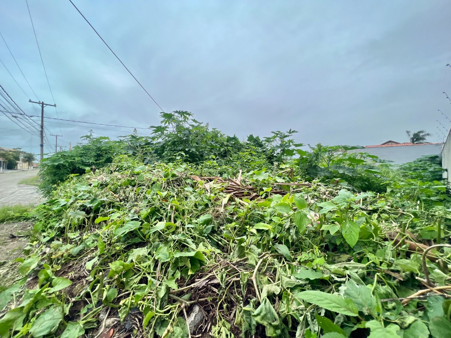 terreno TE0076