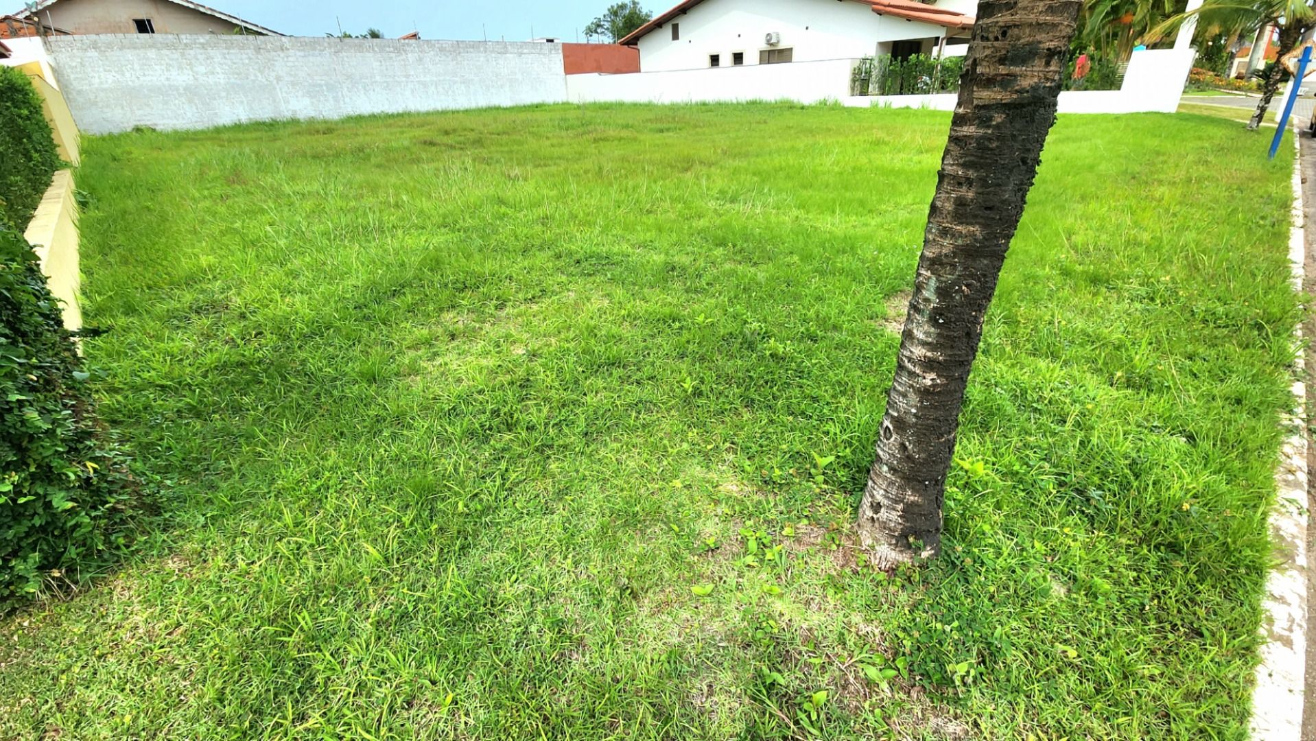 terreno TE0091
