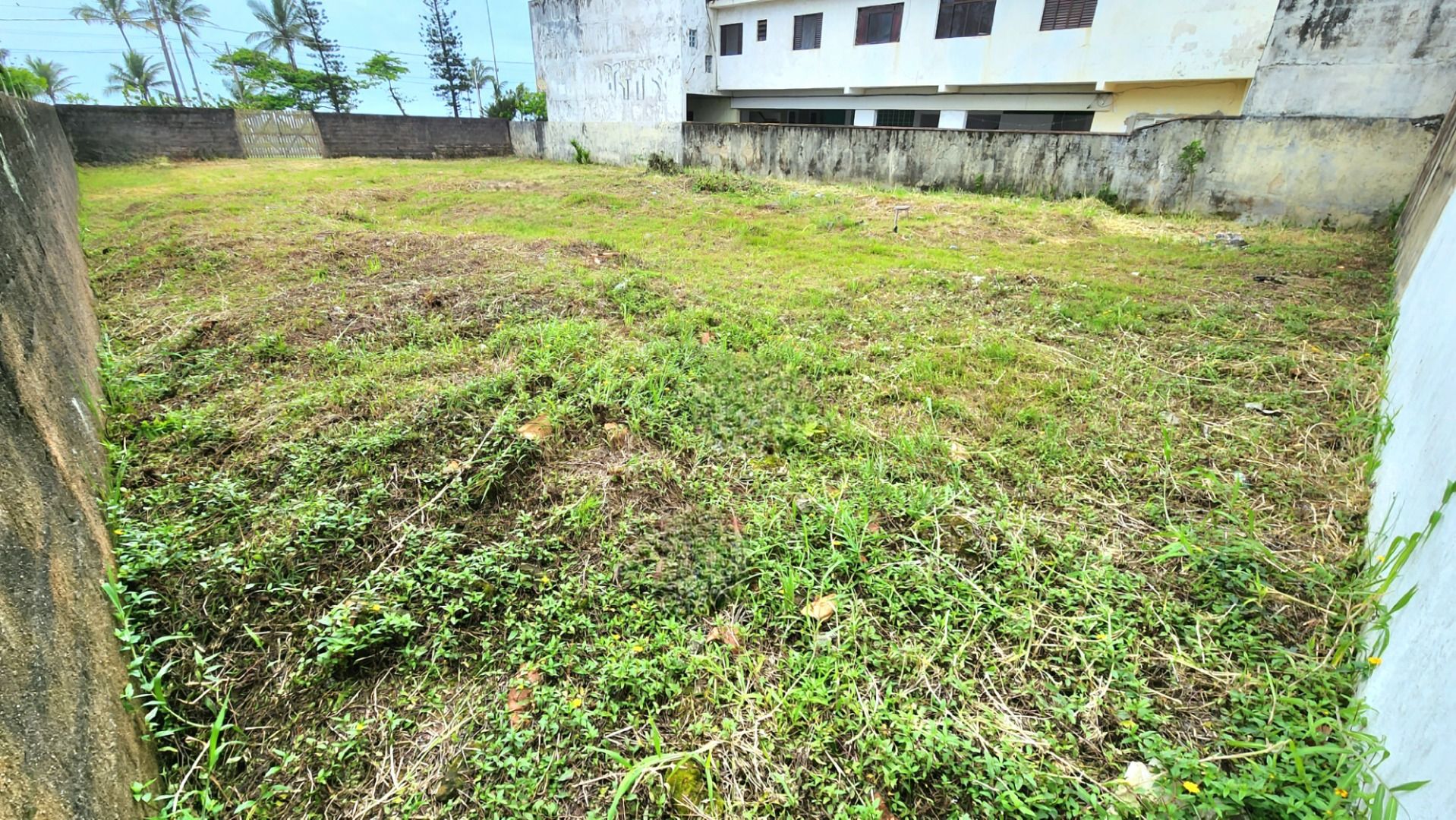 terreno TE0094