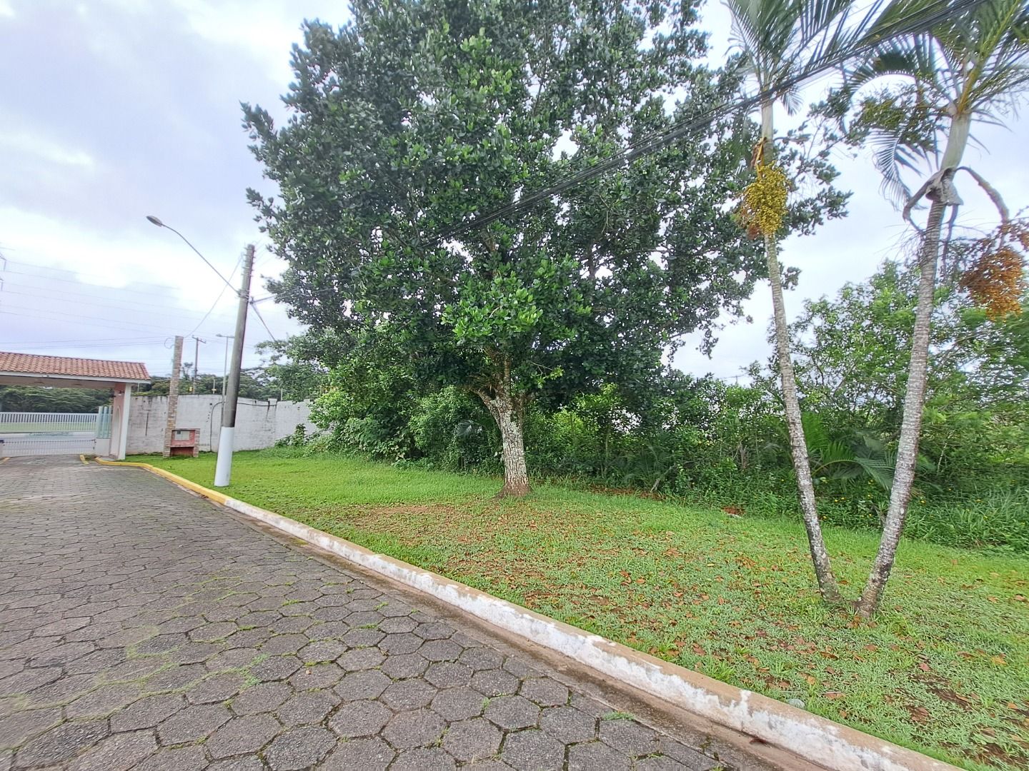 terreno TE0150
