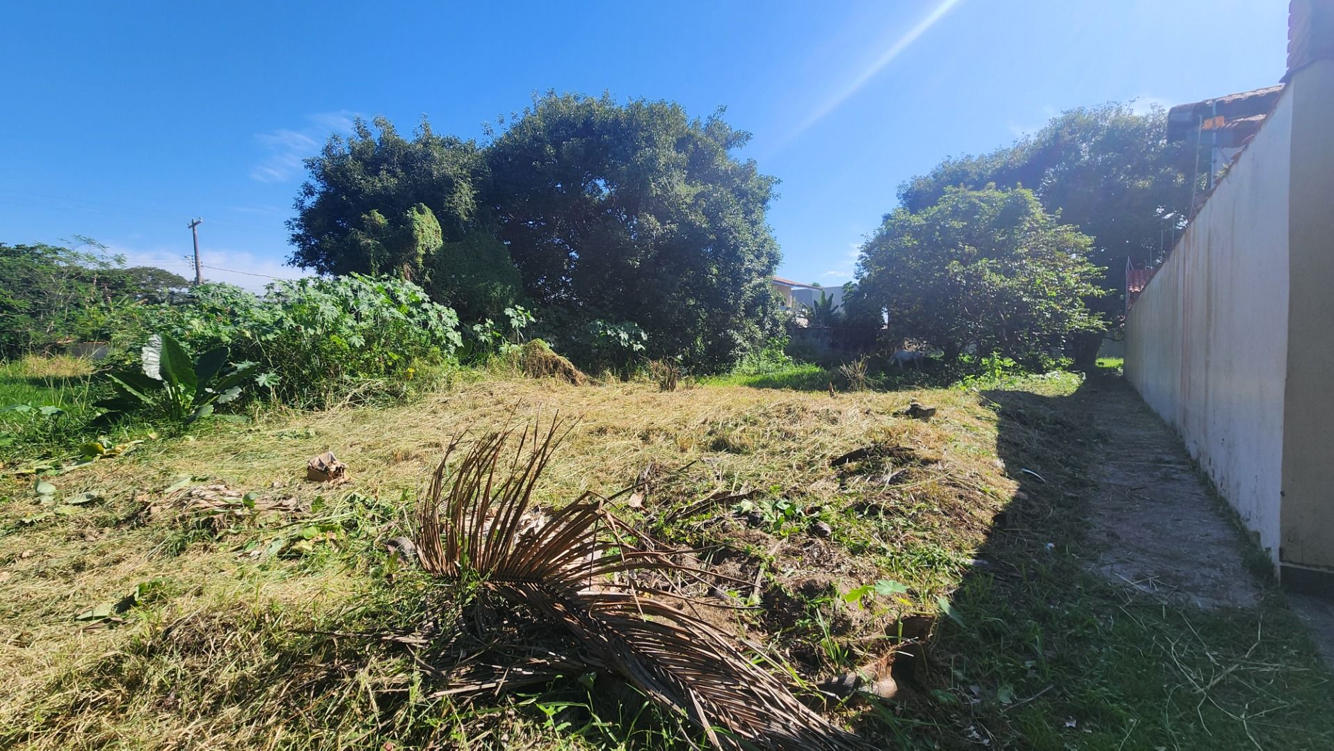 terreno TE0181