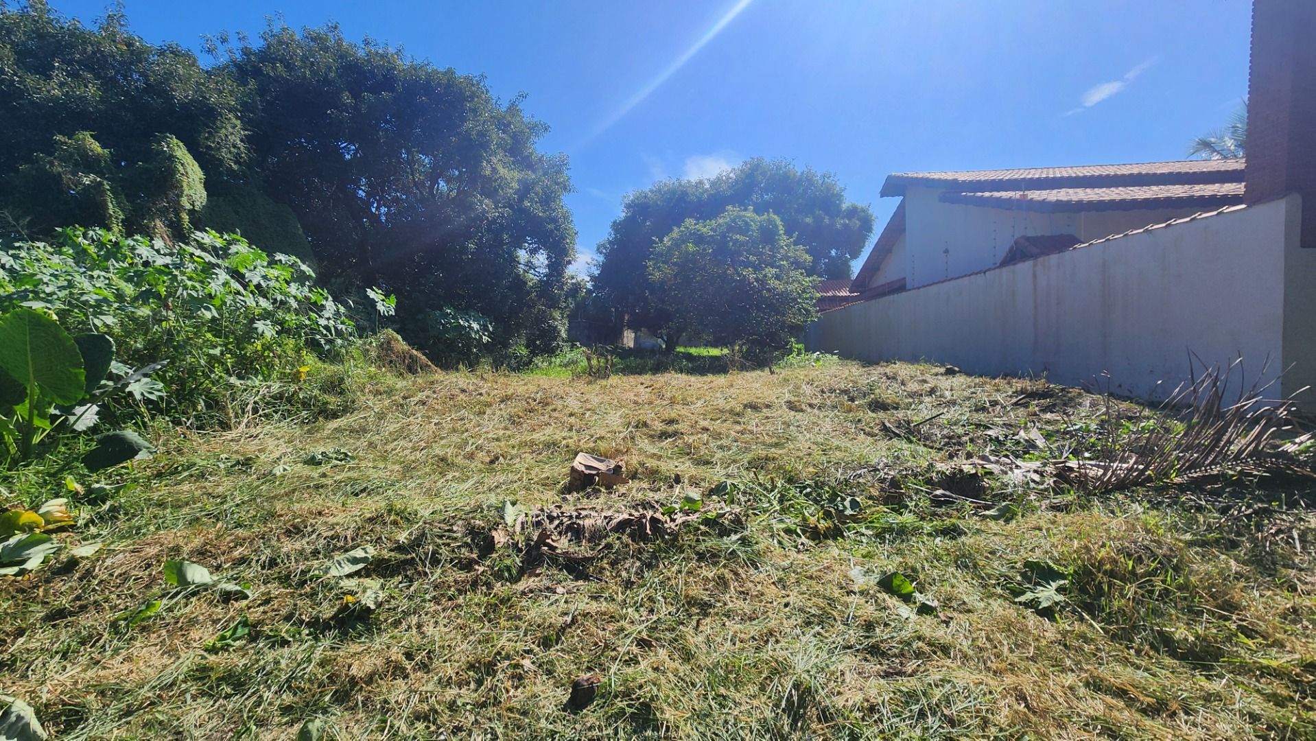 terreno TE0181