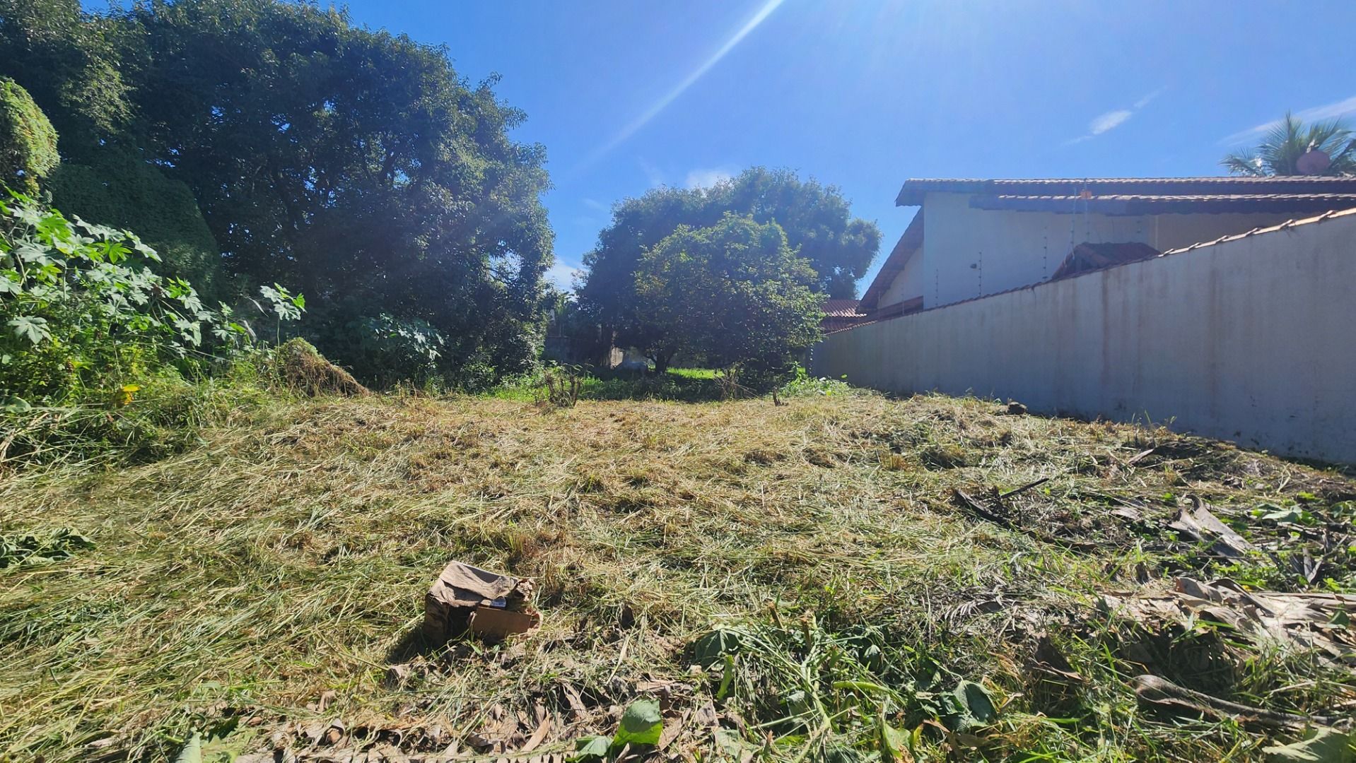 terreno TE0181