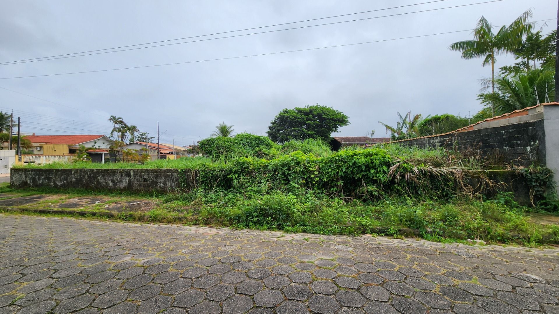 terreno TE0206