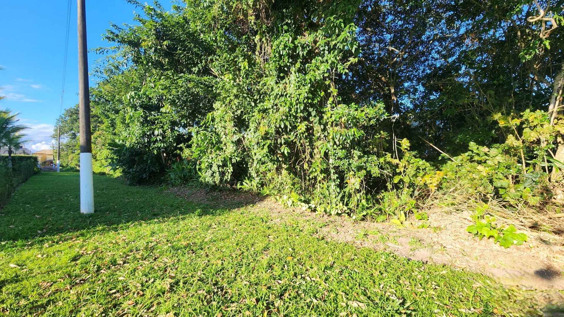 terreno TE0215