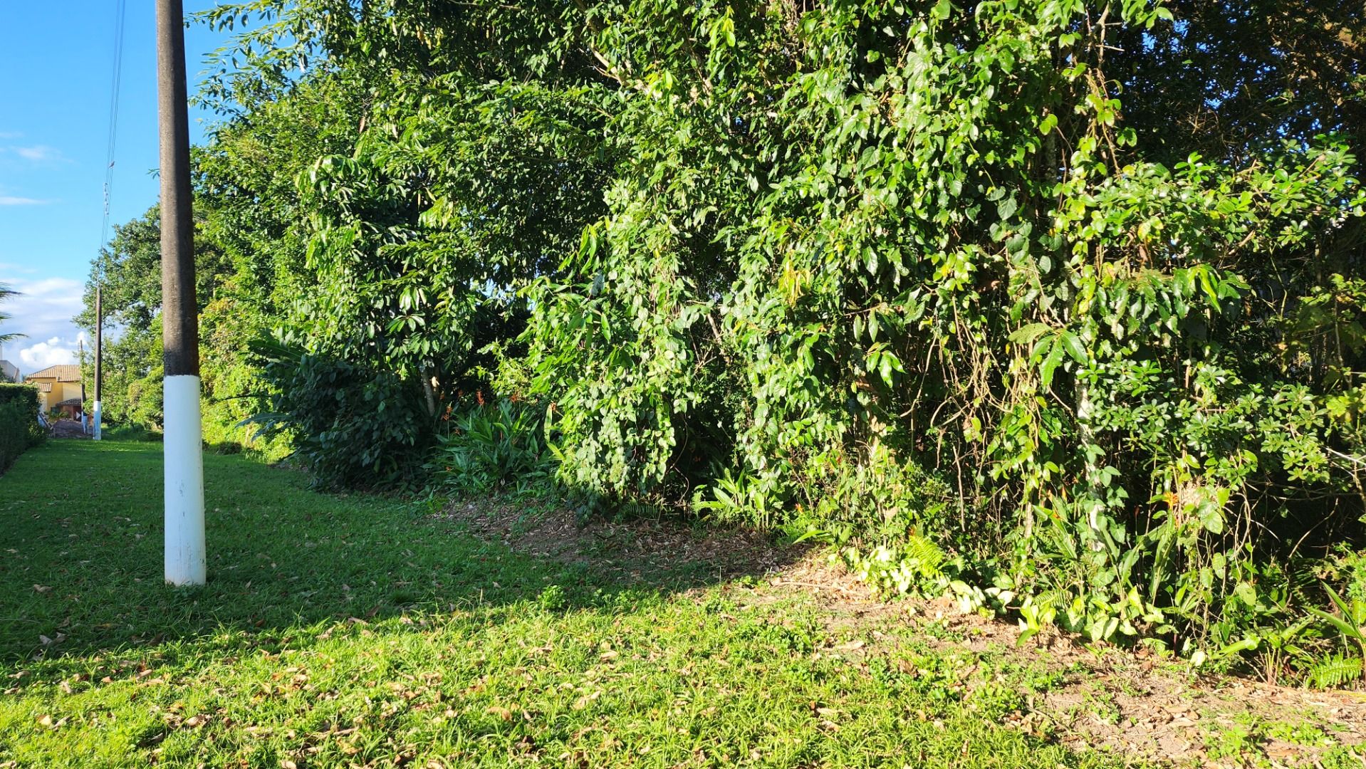 terreno TE0215