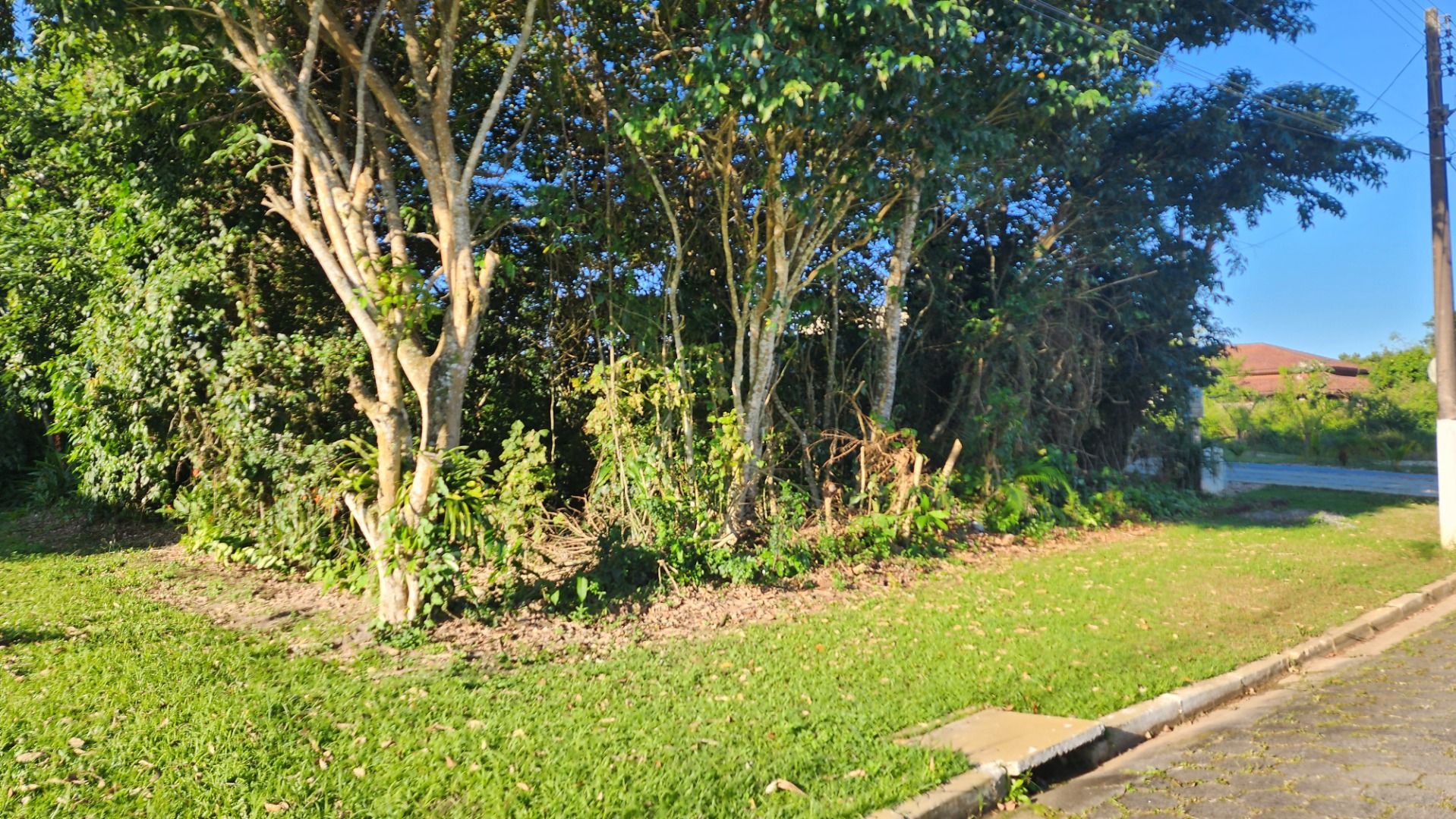 terreno TE0215