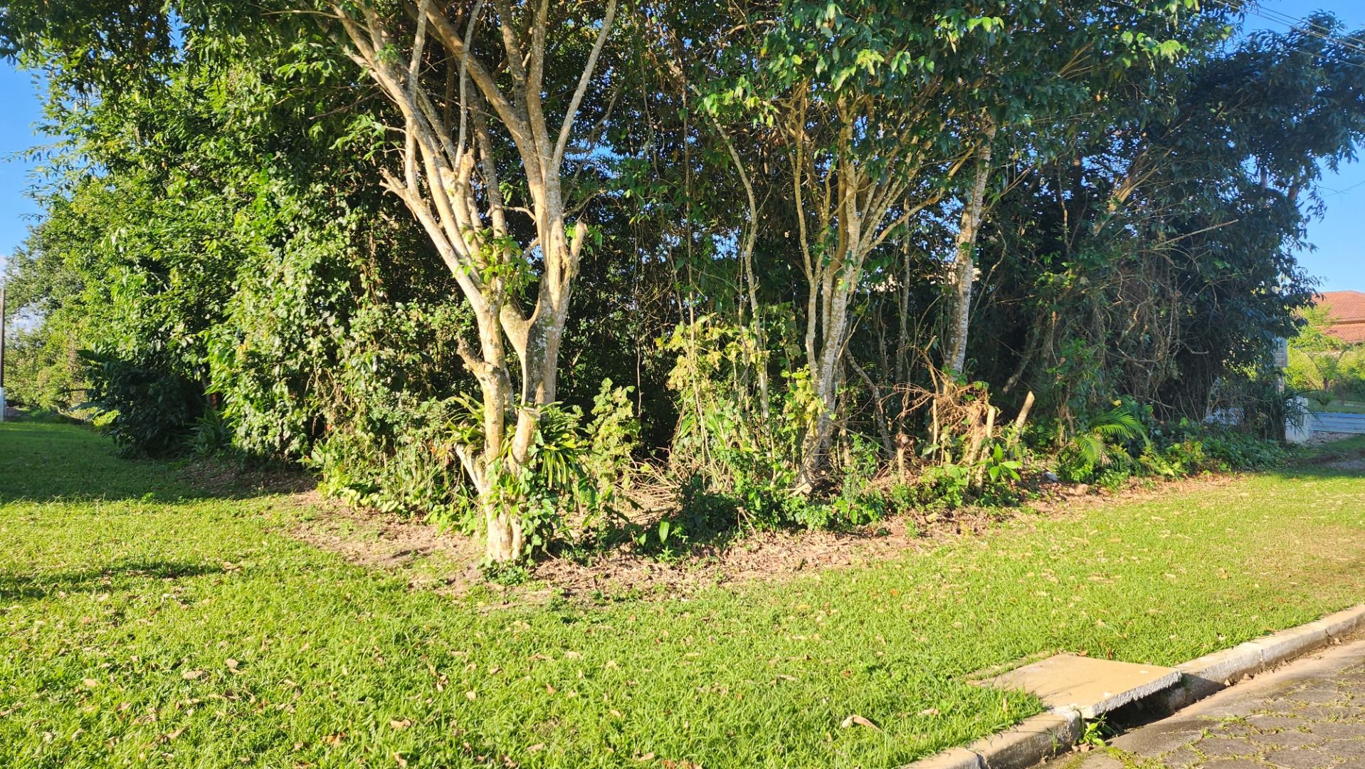 terreno TE0215