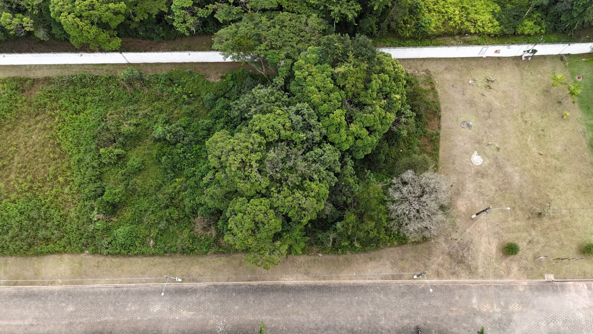 terreno TE0216 em Bougainvillee V