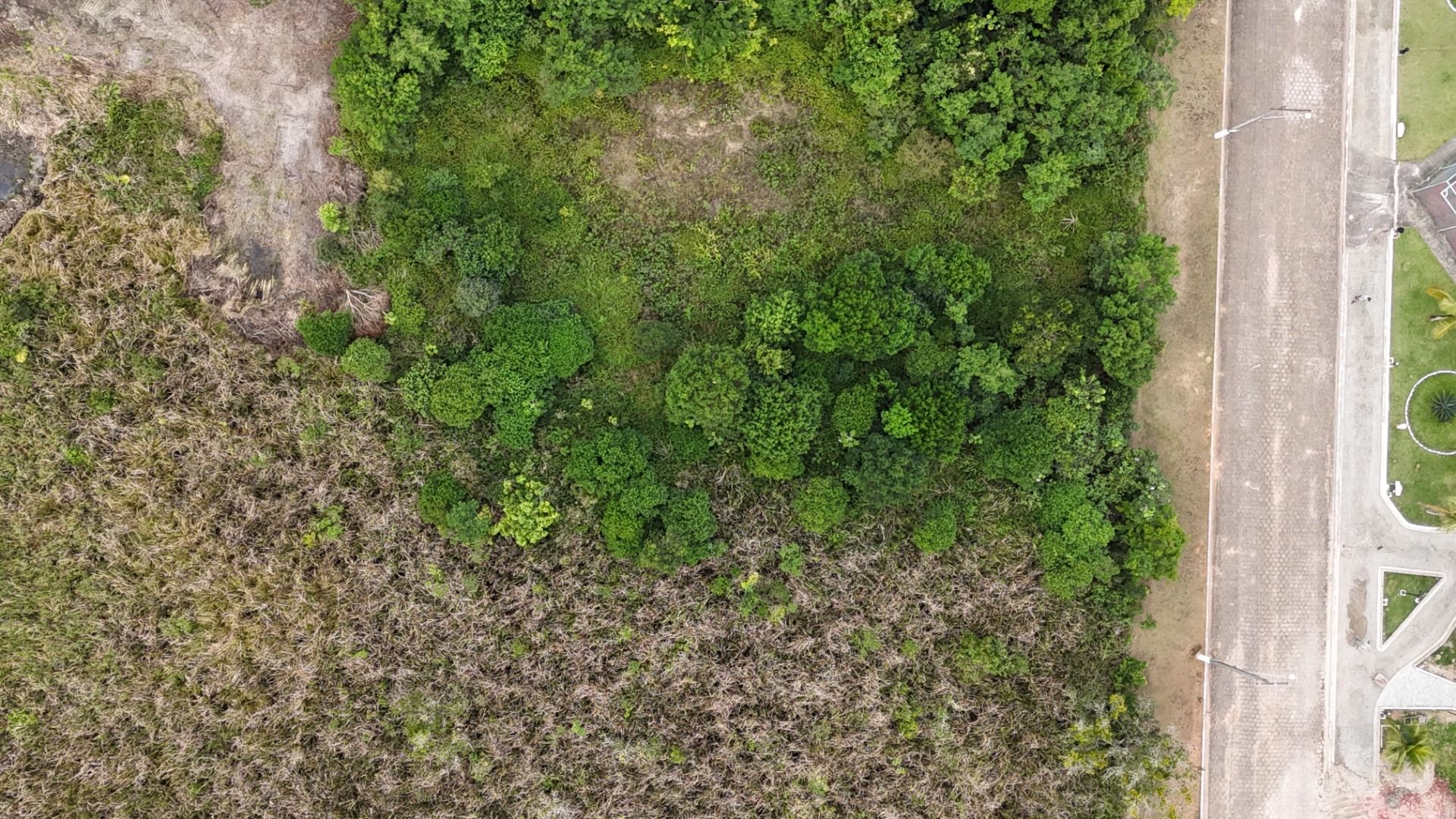 terreno TE0219