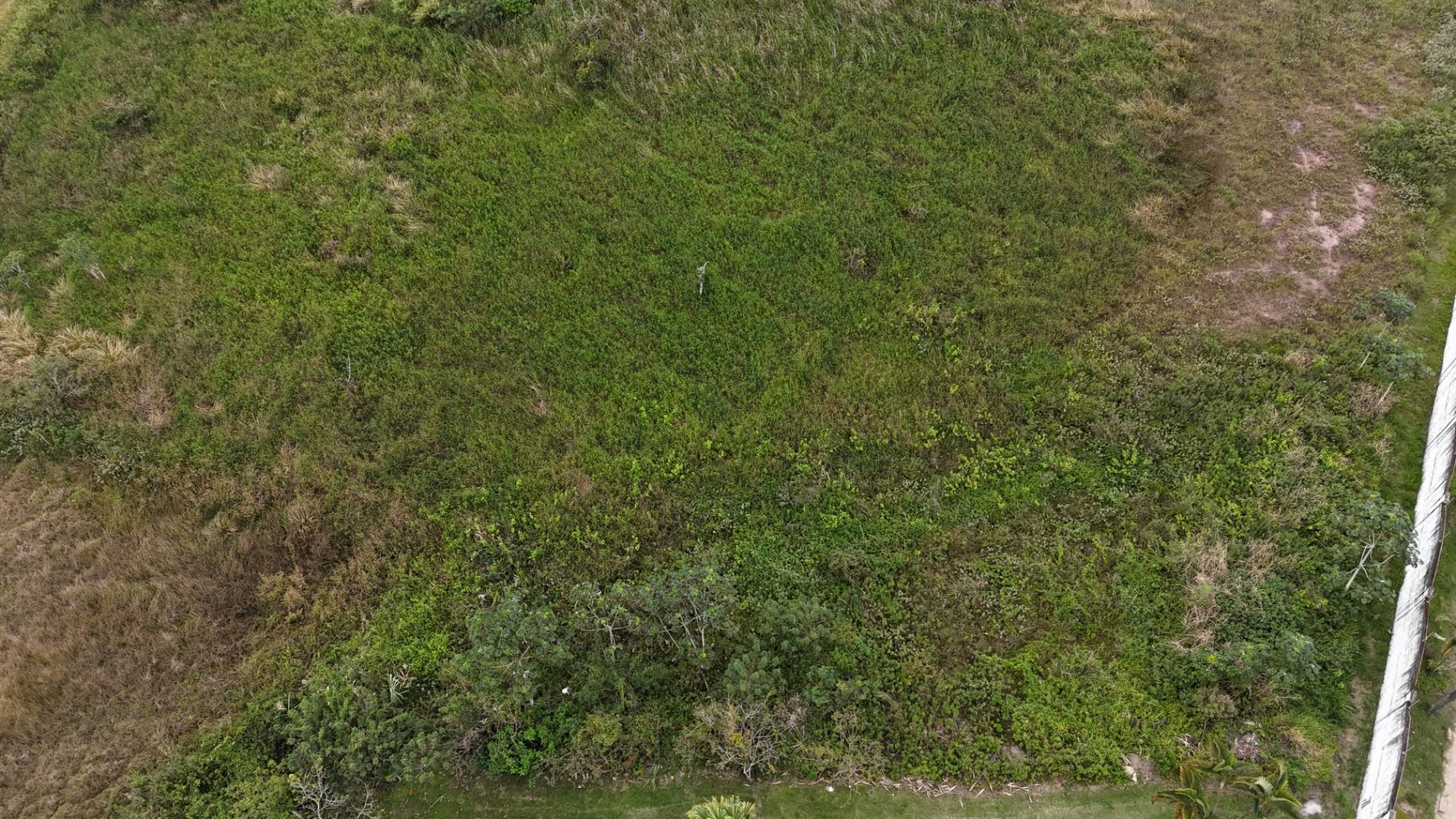 terreno TE0221 em Bougainvillee V