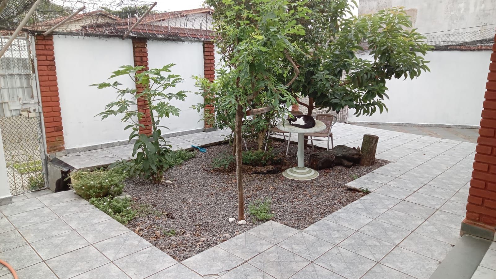 casa CA0670