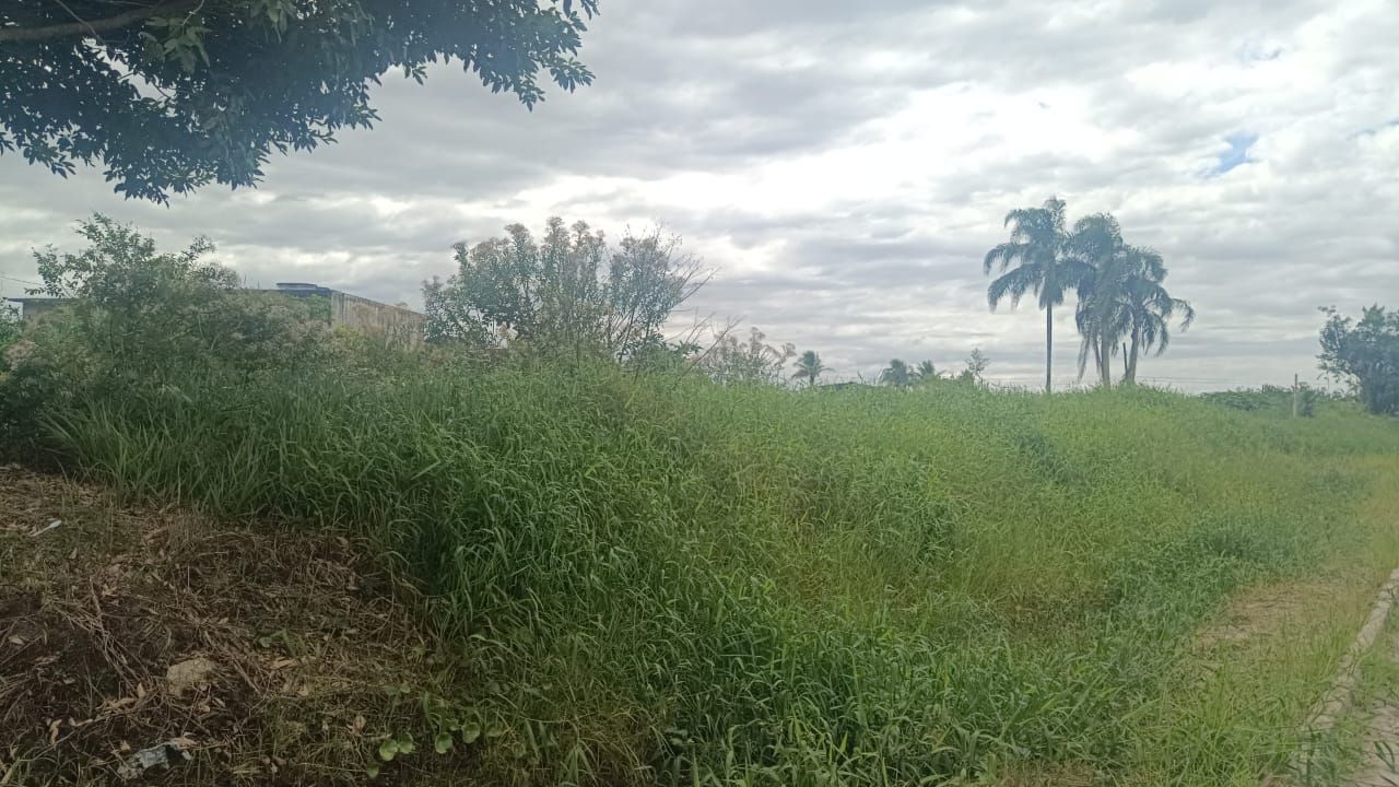 terreno TE0305