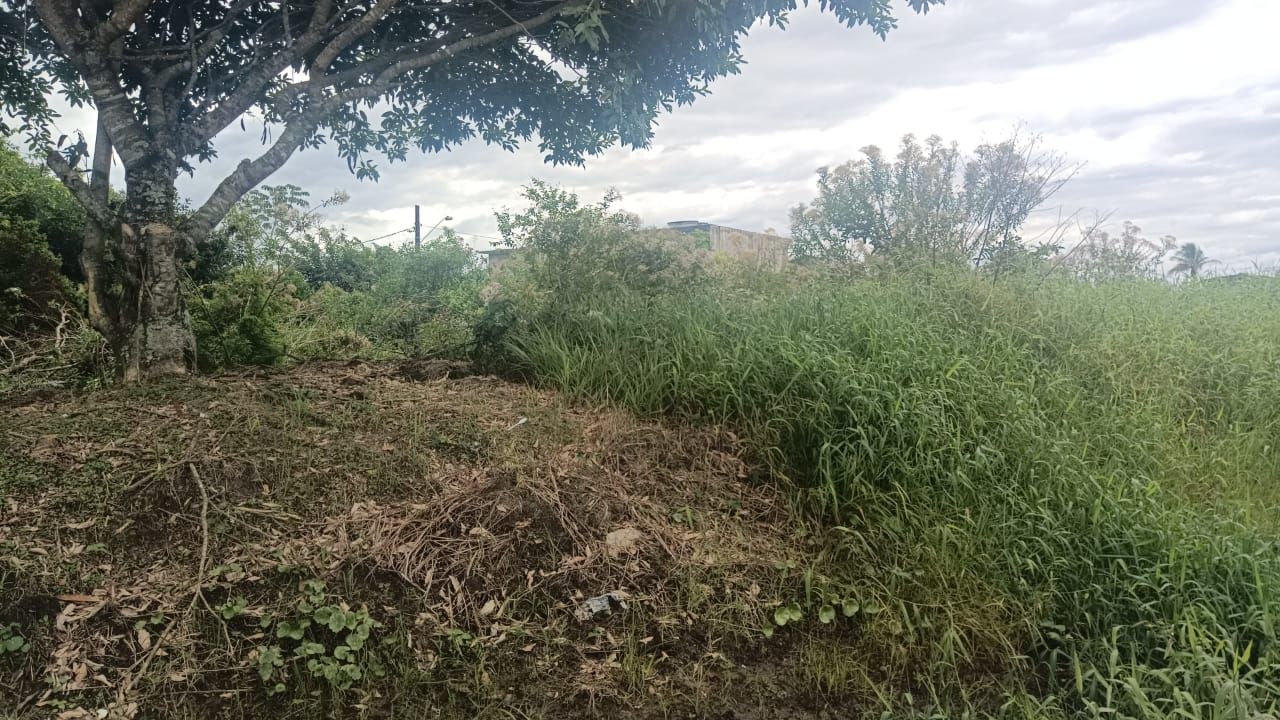 terreno TE0305