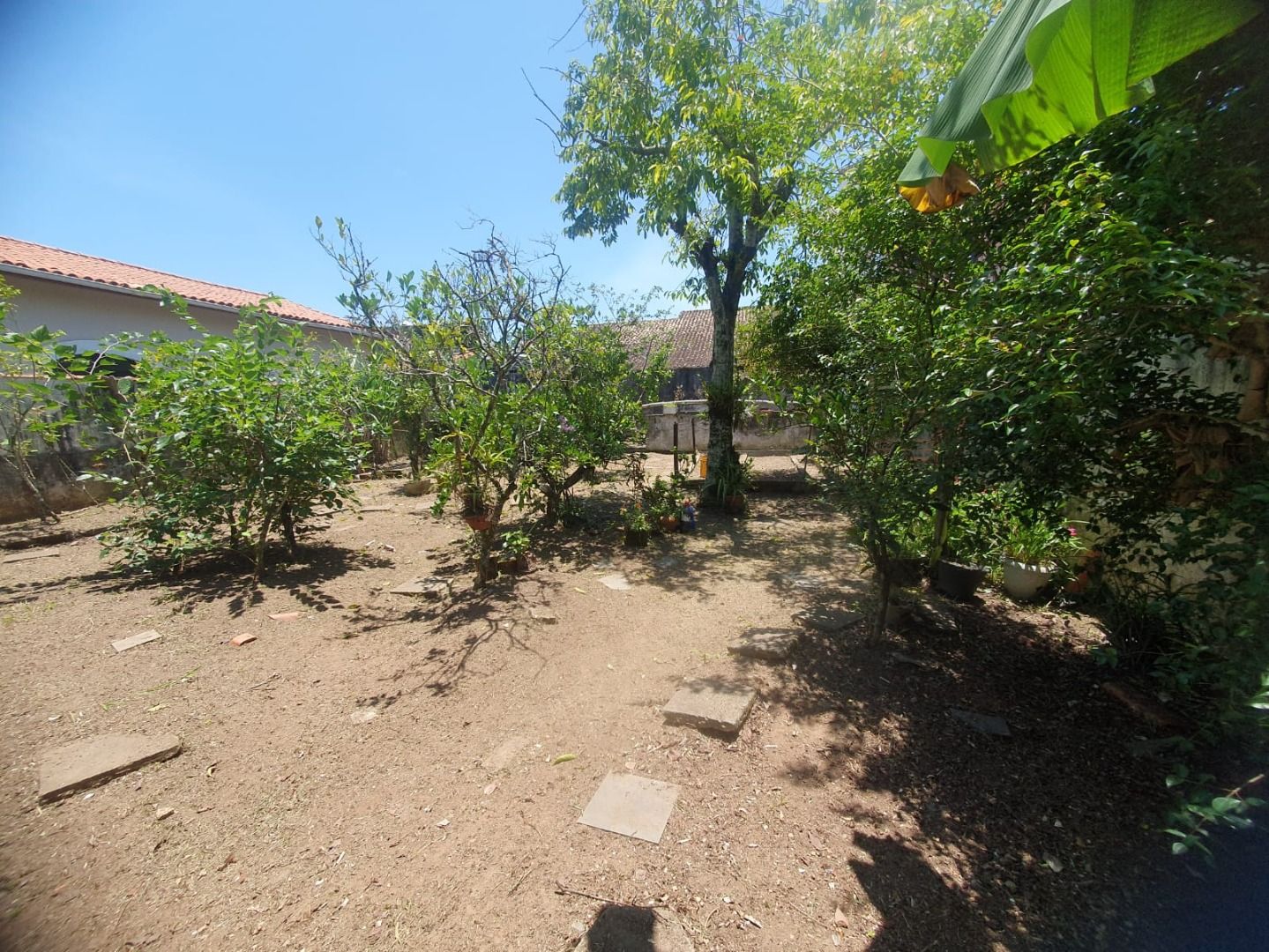 terreno TE0364