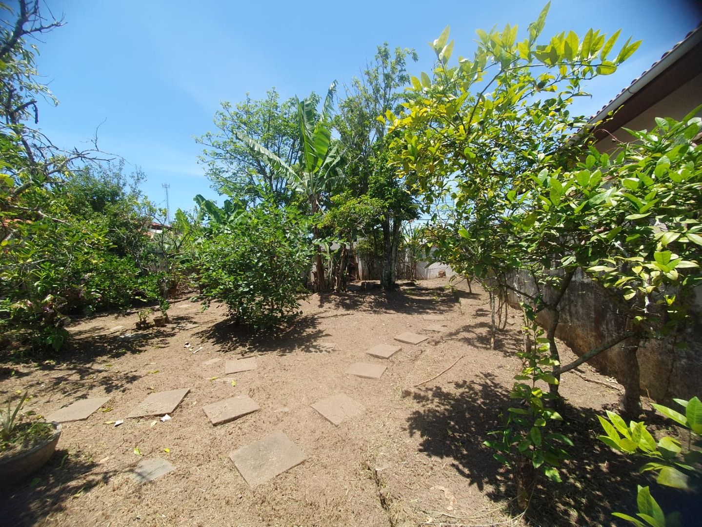 terreno TE0364