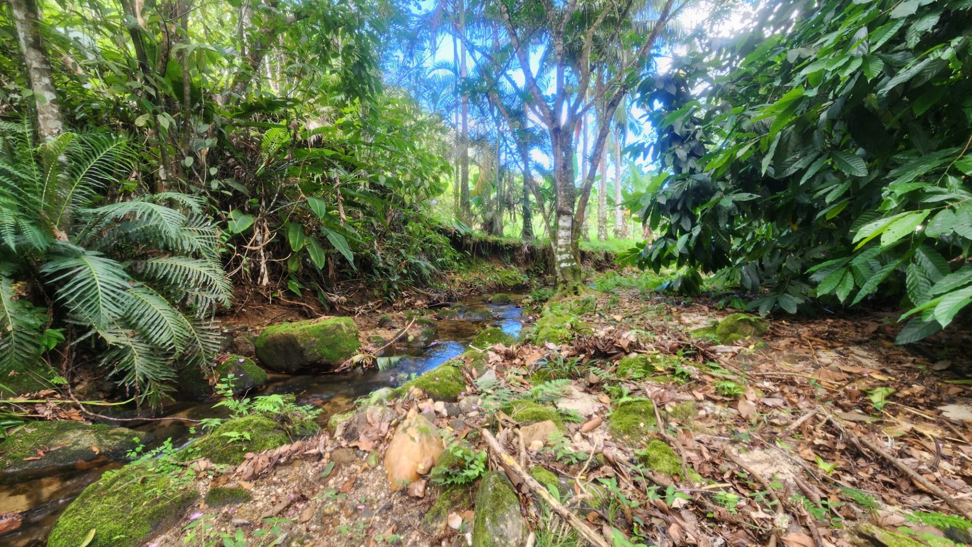 terreno TE0376 em Cidade Balneária Nova Peruibe
