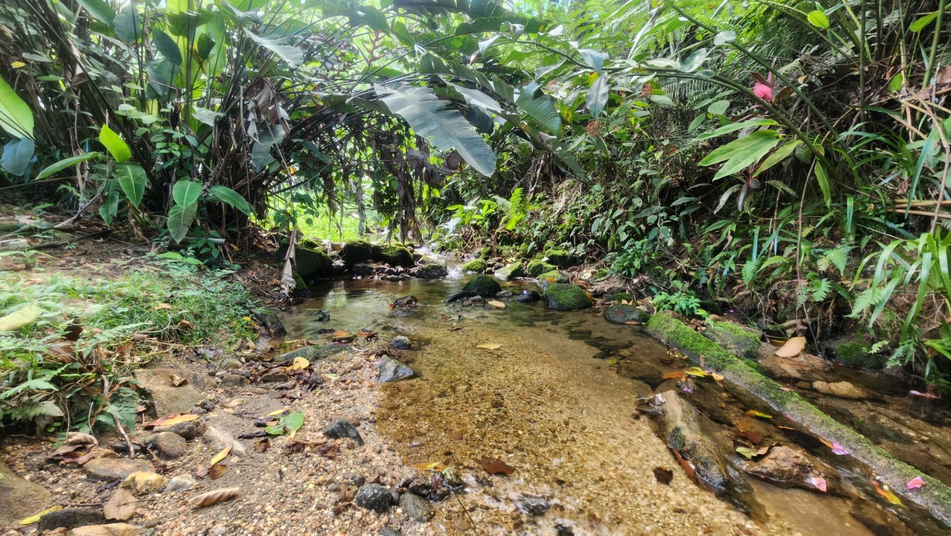 terreno TE0376 em Cidade Balneária Nova Peruibe