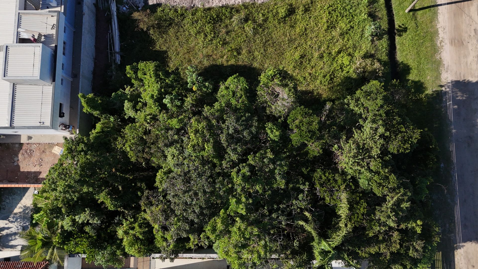 terreno TE0385